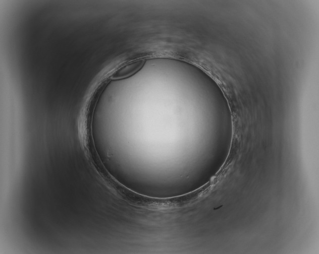 X0000102400245200808081310