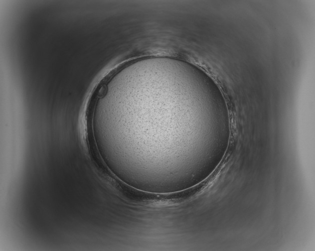 X0000102400246200808081310