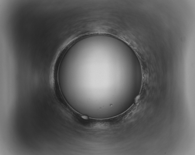 X0000102400248200808081310