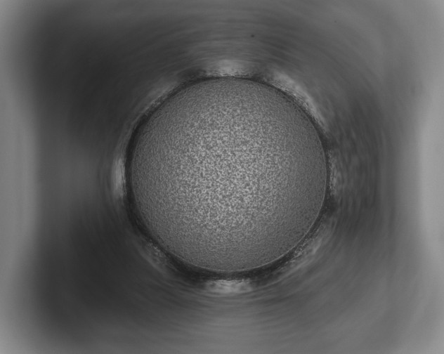 X0000102400251200808081310