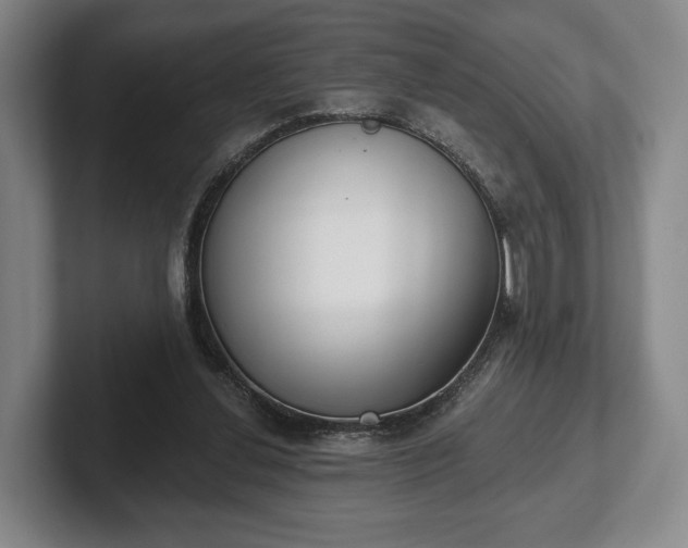 X0000102400252200808081310