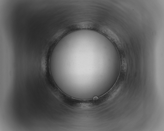 X0000102400255200808081310