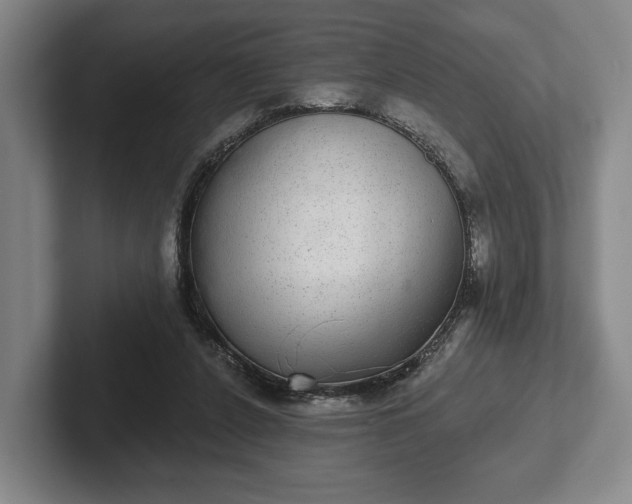 X0000102400256200808081310