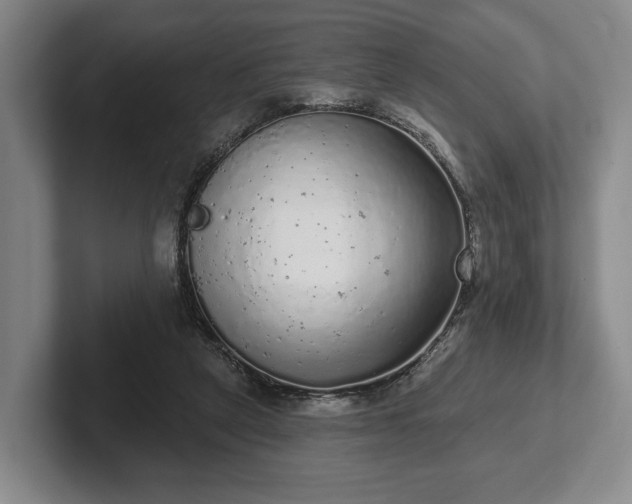 X0000102400257200808081310