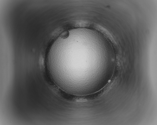 X0000102400258200808081310