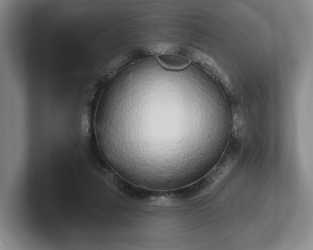 X0000102400259200808081310