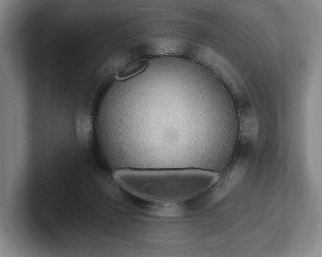 X0000102400260200808081310