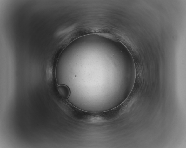 X0000102400262200808081310