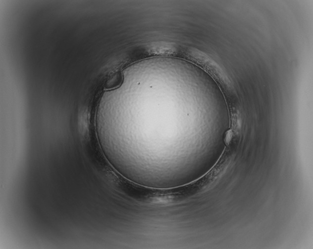 X0000102400263200808081310