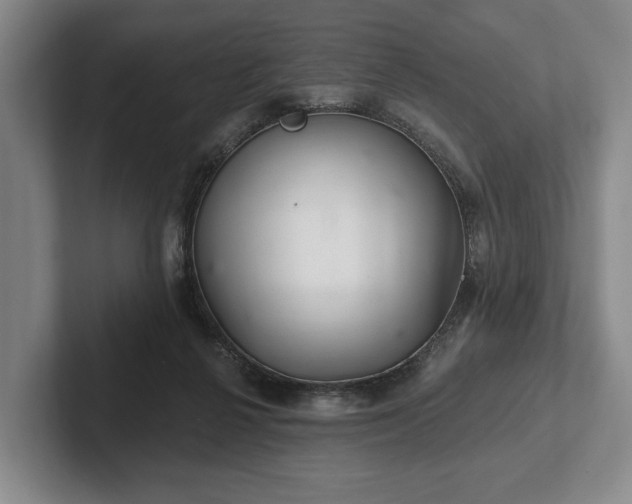 X0000102400264200808081310