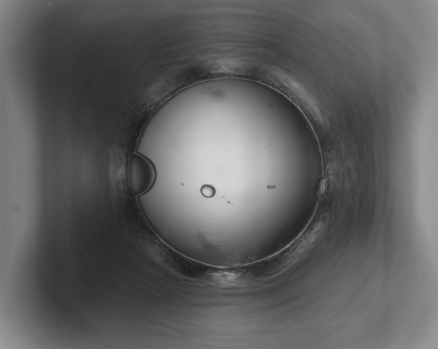 X0000102400265200808081310