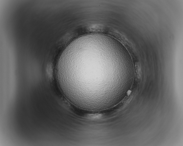 X0000102400266200808081310