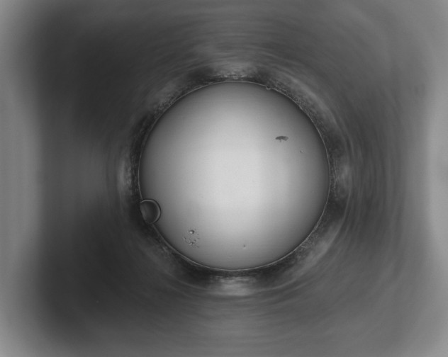 X0000102400268200808081310