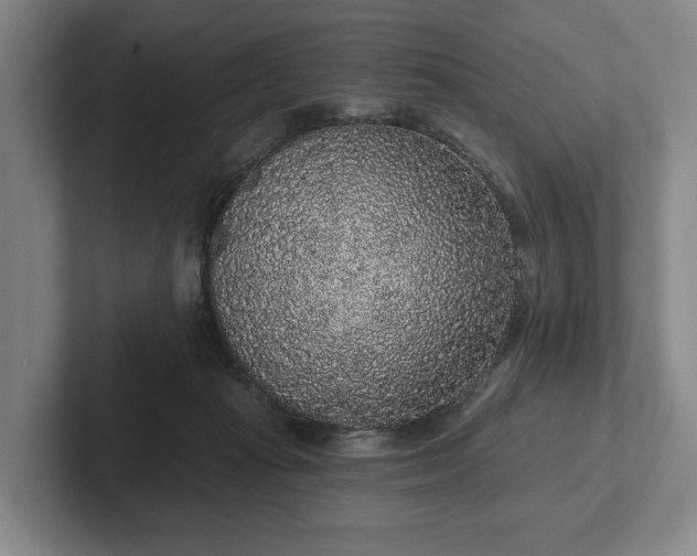 X0000102400269200808081310