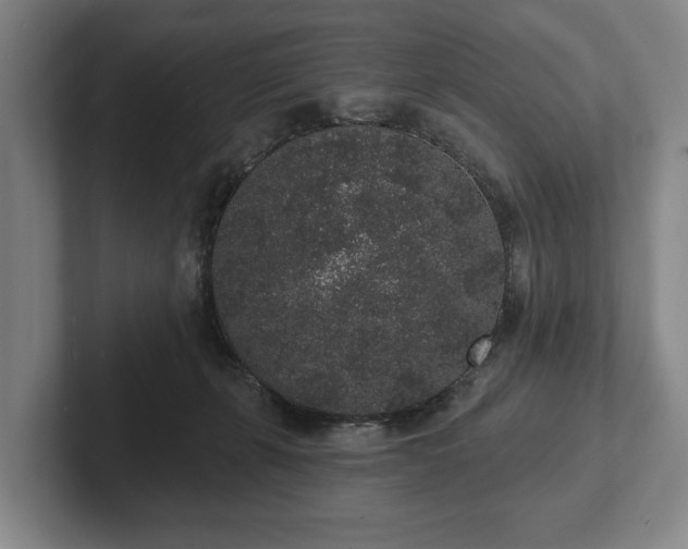 X0000102400271200808081310