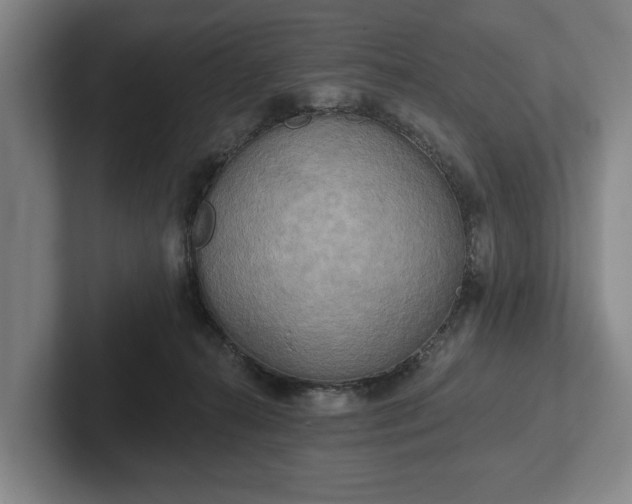 X0000102400272200808081310