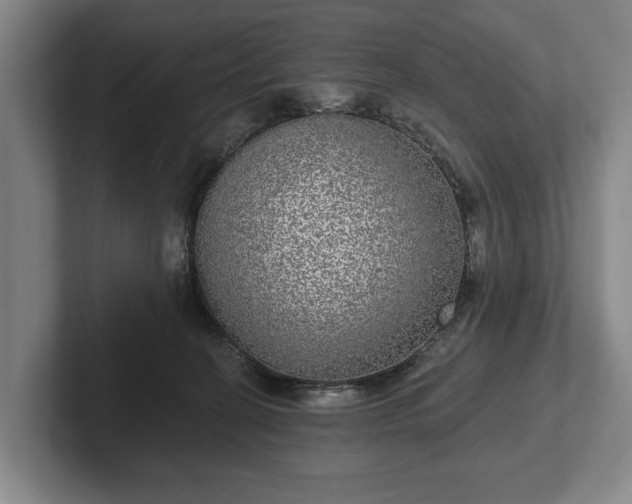 X0000102400274200808081310