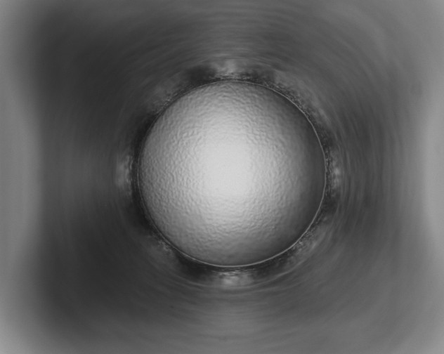 X0000102400275200808081310