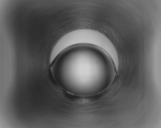 X0000102400276200808081310