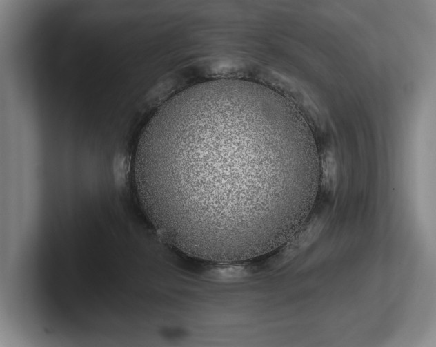 X0000102400278200808081310