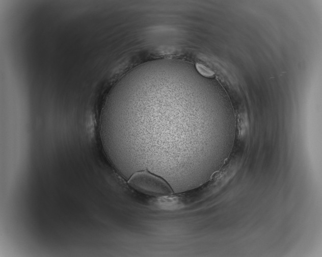 X0000102400279200808081310