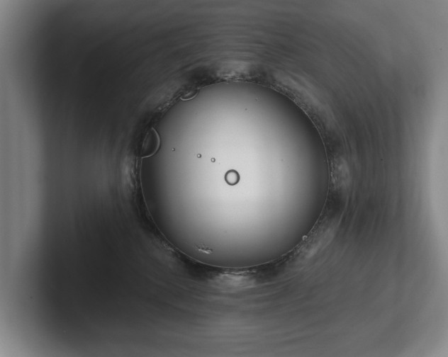 X0000102400280200808081310