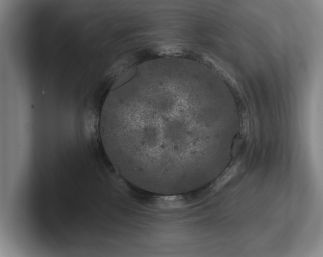 X0000102400281200808081310