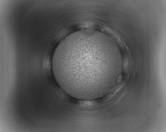 X0000102400282200808081310