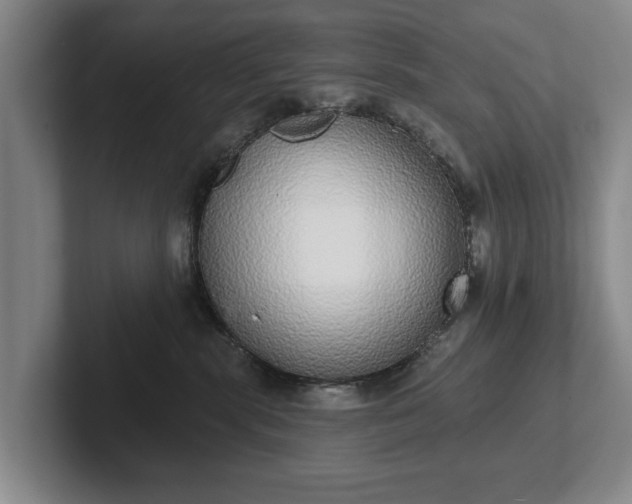 X0000102400283200808081310