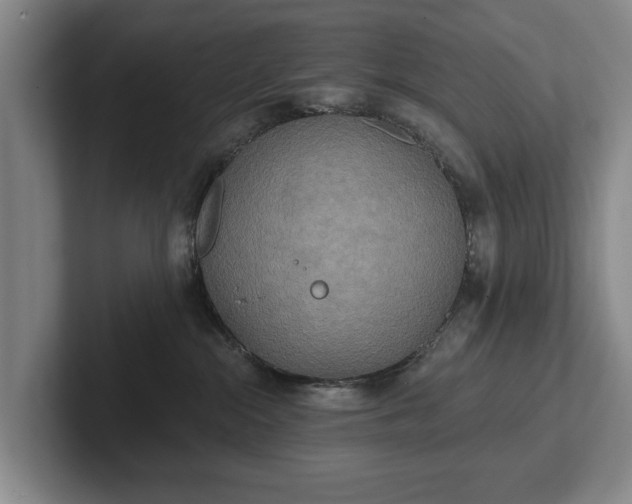 X0000102400284200808081310