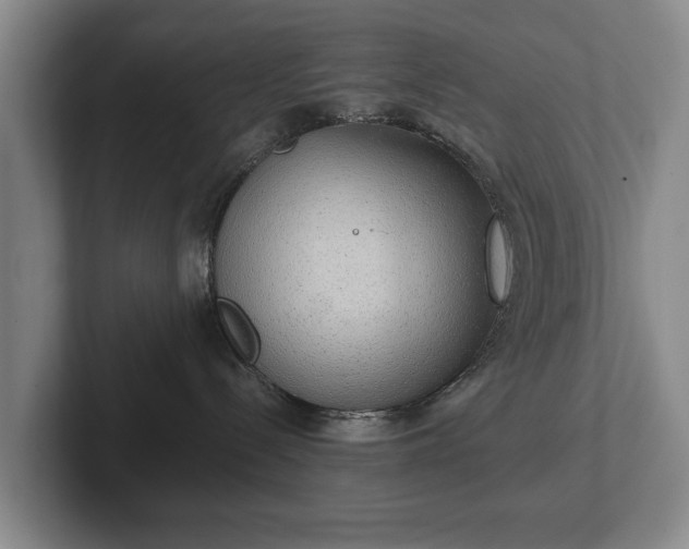 X0000102400288200808081310