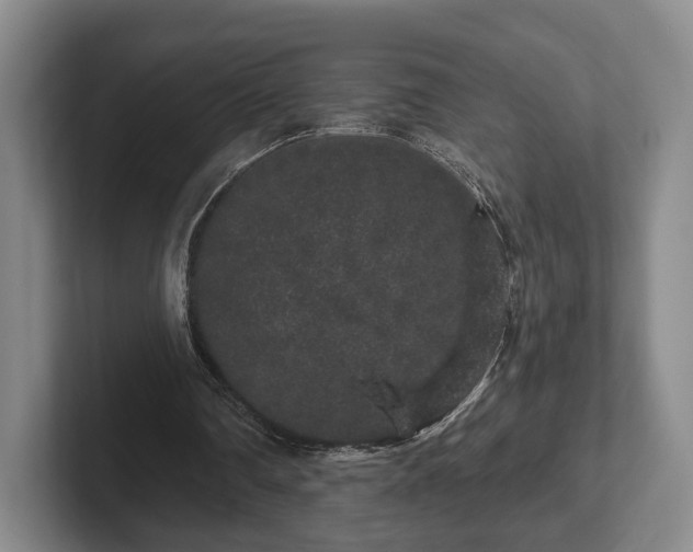 X0000102400290200808081310