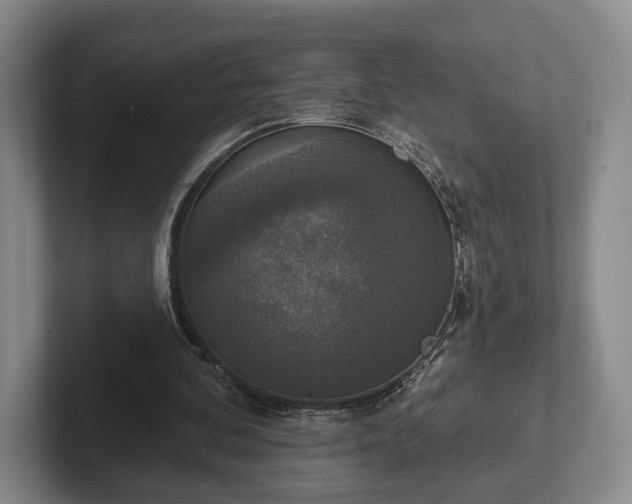 X0000102400292200808081310