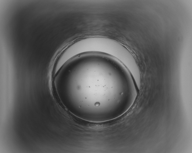 X0000102400293200808081310