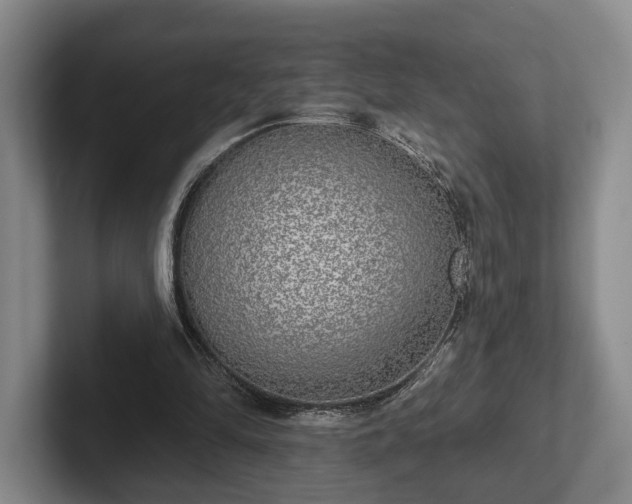 X0000102400294200808081310