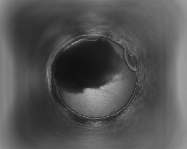 X0000102400295200808081310