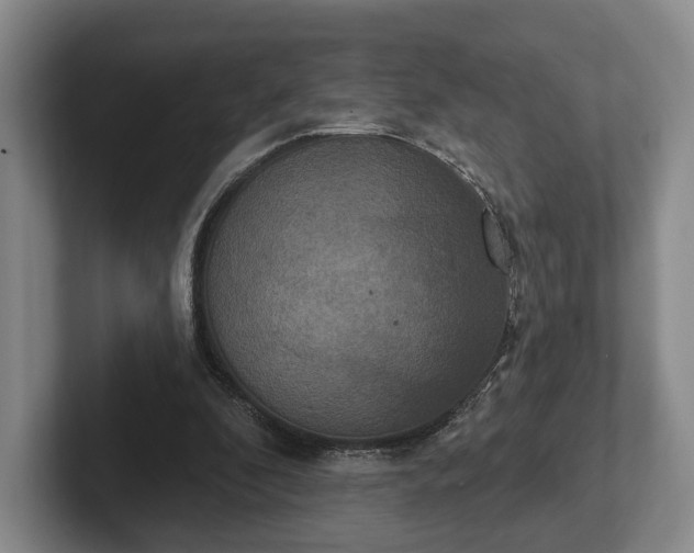 X0000102400296200808081310