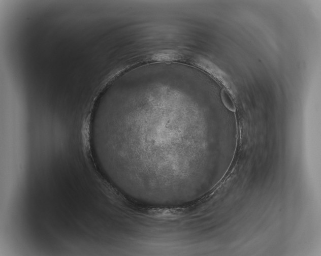 X0000102400297200808081310