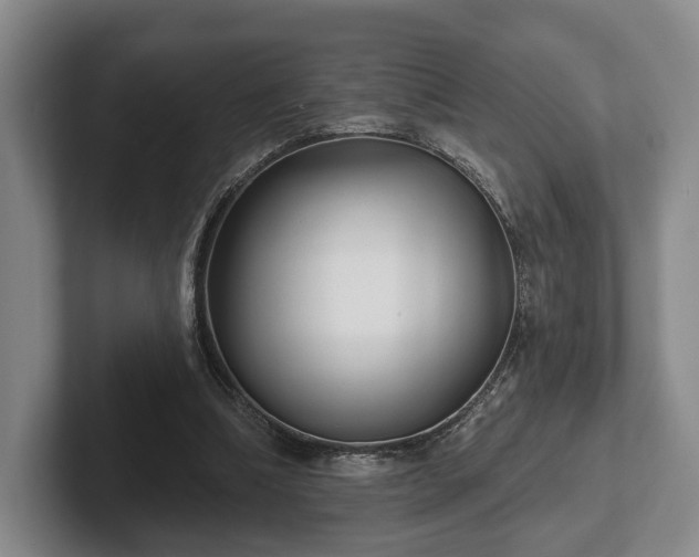 X0000102400298200808081310