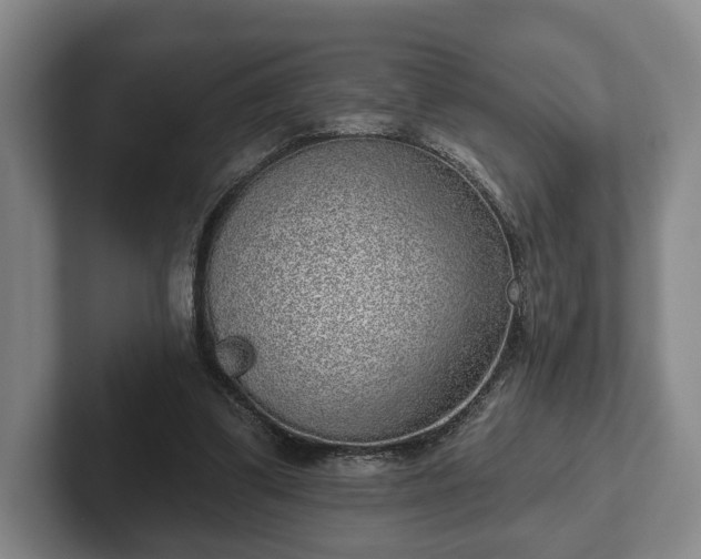 X0000102400299200808081310