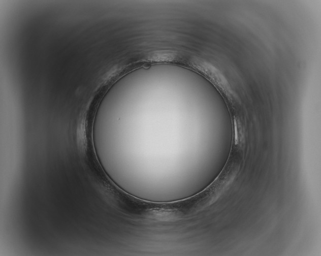 X0000102400300200808081310