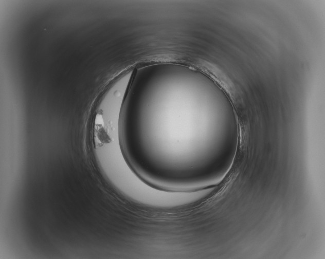 X0000102400301200808081310