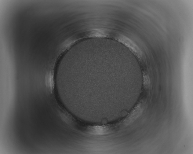 X0000102400302200808081310