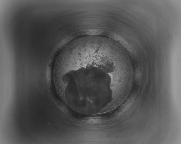 X0000102400303200808081310