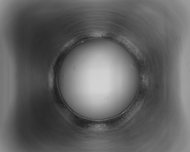 X0000102400304200808081310