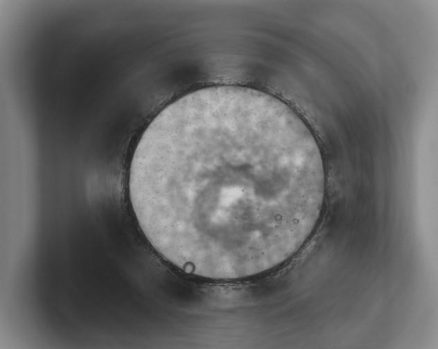 X0000102400305200808081310