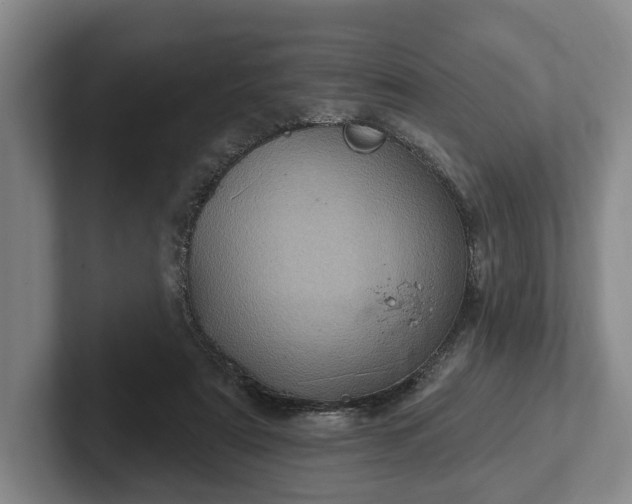 X0000102400307200808081310