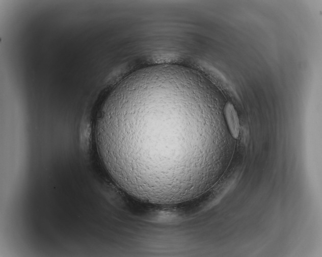 X0000102400308200808081310