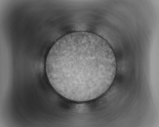 X0000102400309200808081310