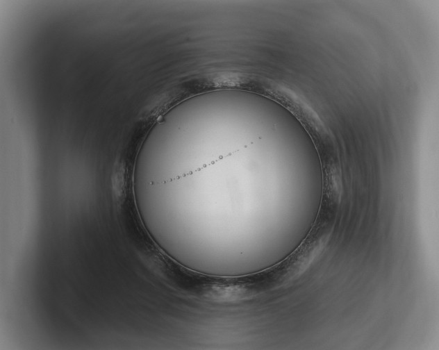 X0000102400311200808081310